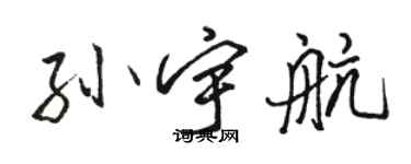 駱恆光孫宇航行書個性簽名怎么寫