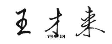 駱恆光王才來行書個性簽名怎么寫