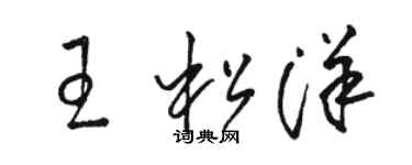 駱恆光王松洋草書個性簽名怎么寫