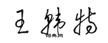 駱恆光王韓特草書個性簽名怎么寫