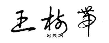 曾慶福王樹帶草書個性簽名怎么寫