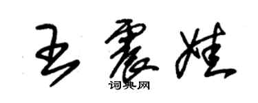 朱錫榮王震娃草書個性簽名怎么寫