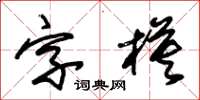 朱錫榮字模草書怎么寫