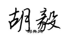 王正良胡毅行書個性簽名怎么寫