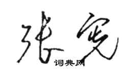 駱恆光張憲草書個性簽名怎么寫