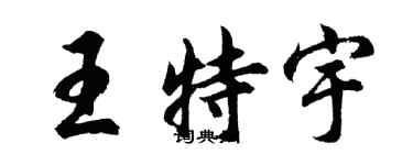 胡問遂王特宇行書個性簽名怎么寫