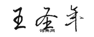 駱恆光王聖年行書個性簽名怎么寫