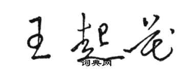 駱恆光王起花草書個性簽名怎么寫