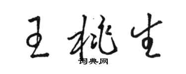 駱恆光王桃生草書個性簽名怎么寫