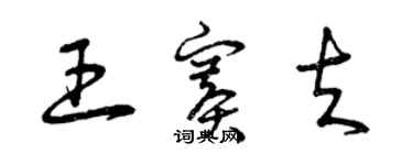 曾慶福王賽夫草書個性簽名怎么寫