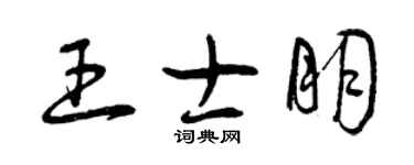曾慶福王士朋草書個性簽名怎么寫
