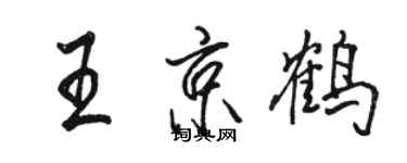 駱恆光王京鶴行書個性簽名怎么寫