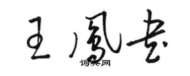 駱恆光王鳳書草書個性簽名怎么寫