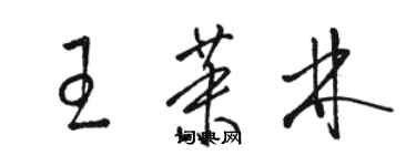 駱恆光王茉林草書個性簽名怎么寫