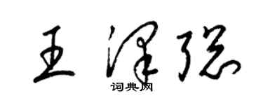 梁錦英王澤聰草書個性簽名怎么寫