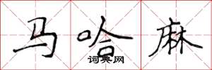 侯登峰馬哈麻楷書怎么寫