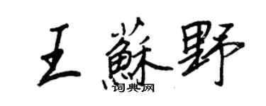 王正良王蘇野行書個性簽名怎么寫