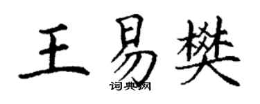 丁謙王易樊楷書個性簽名怎么寫