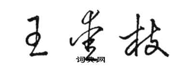 駱恆光王愛枝草書個性簽名怎么寫