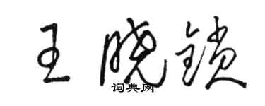 駱恆光王曉鎖草書個性簽名怎么寫