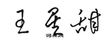 駱恆光王星甜草書個性簽名怎么寫