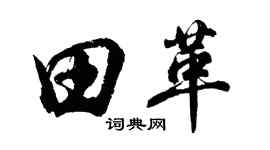 胡問遂田革行書個性簽名怎么寫