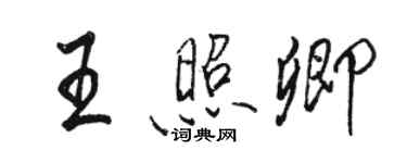 駱恆光王照卿行書個性簽名怎么寫