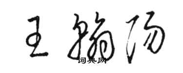 駱恆光王翰陽草書個性簽名怎么寫