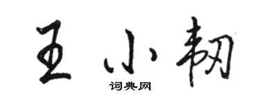 駱恆光王小韌行書個性簽名怎么寫