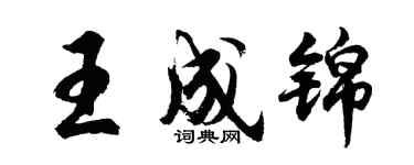 胡問遂王成錦行書個性簽名怎么寫