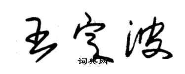 朱錫榮王定波草書個性簽名怎么寫