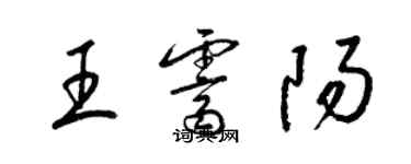 梁錦英王霽陽草書個性簽名怎么寫