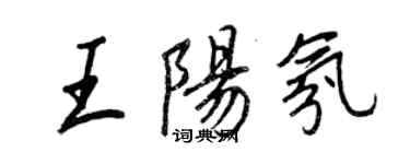 王正良王陽氛行書個性簽名怎么寫