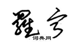 朱錫榮羅寧草書個性簽名怎么寫