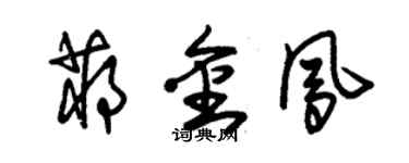 朱錫榮蔣金鳳草書個性簽名怎么寫