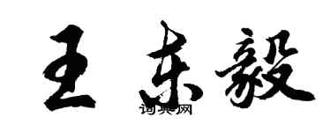 胡問遂王東毅行書個性簽名怎么寫
