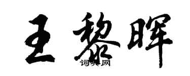 胡問遂王黎暉行書個性簽名怎么寫
