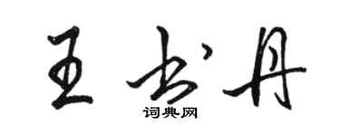 駱恆光王書丹行書個性簽名怎么寫