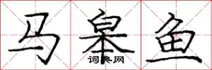 龐中華馬皋魚楷書怎么寫
