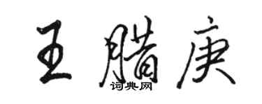 駱恆光王臘庚行書個性簽名怎么寫