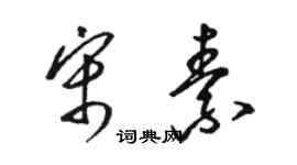 駱恆光宋素草書個性簽名怎么寫