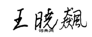 王正良王曉飈行書個性簽名怎么寫