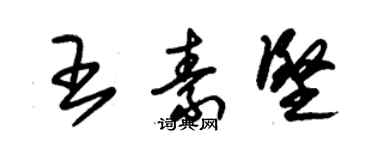 朱錫榮王素堅草書個性簽名怎么寫