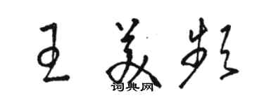 駱恆光王美頻草書個性簽名怎么寫