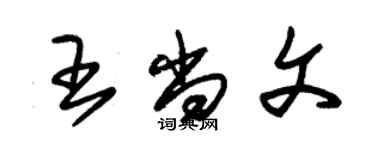 朱錫榮王尚文草書個性簽名怎么寫