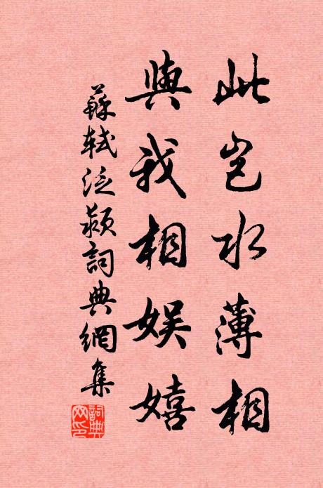 天方欲治將焉往，用不崇朝尚竊遲 詩詞名句