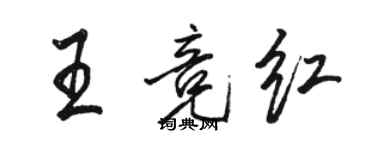 駱恆光王競紅行書個性簽名怎么寫