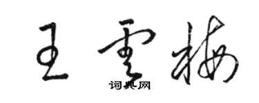 駱恆光王雲梅草書個性簽名怎么寫