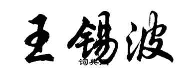 胡問遂王錫波行書個性簽名怎么寫