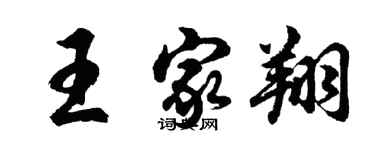 胡問遂王家翔行書個性簽名怎么寫